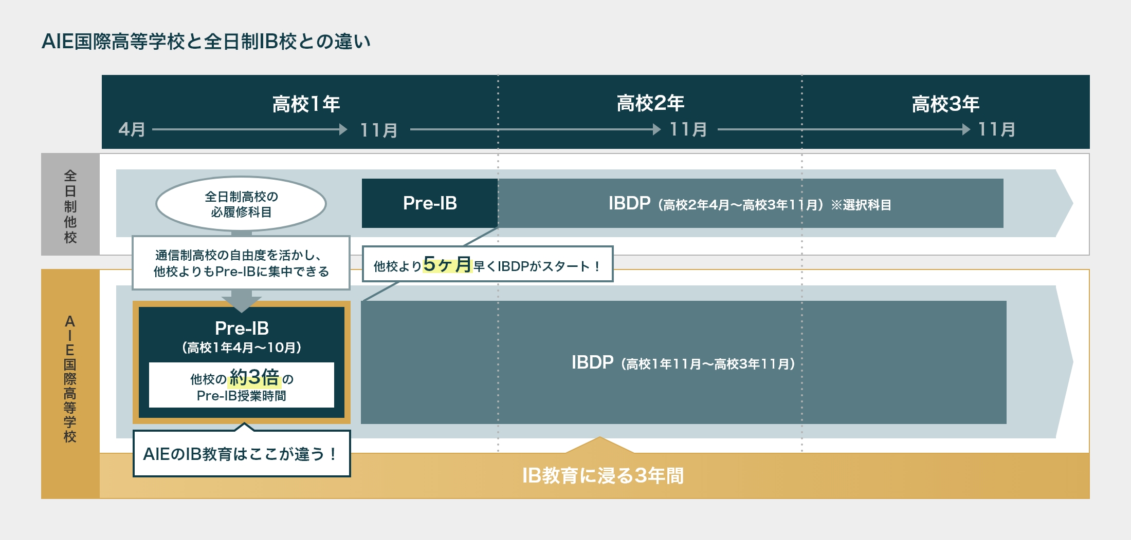 IB資格合格に特化した学習環境